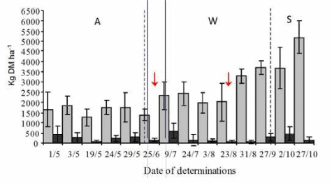 Comparison of enhanced, tame Italian ryegrass (Lolium multiflorum L.), long established and naturally reseeded, versus an annual ryegrass crop in the flood plain of Río Salado, Argentina: Winter forage production under grazing - Image 4
