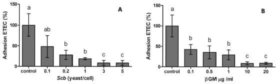 Effect of Saccharomyces cerevisiae var. Boulardii and b-galactomannan oligosaccharide on porcine intestinal epithelial and dendritic cells challenged in vitro with Escherichia coli F4 (K88) - Image 4