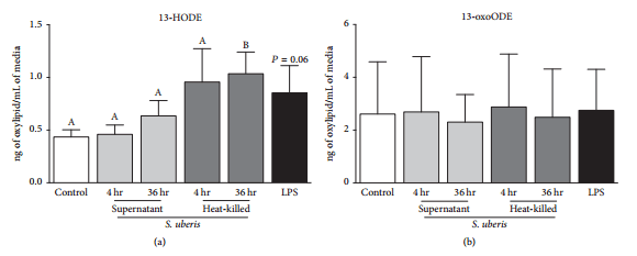 Apoptosis of Endothelial Cells by 13-HPODE Contributes to Impairment of Endothelial Barrier Integrity - Image 7