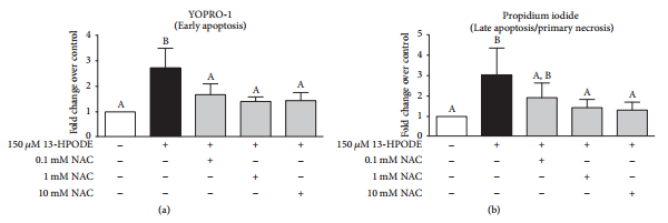 Apoptosis of Endothelial Cells by 13-HPODE Contributes to Impairment of Endothelial Barrier Integrity - Image 11