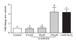 Apoptosis of Endothelial Cells by 13-HPODE Contributes to Impairment of Endothelial Barrier Integrity - Image 10