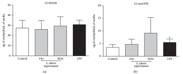 Apoptosis of Endothelial Cells by 13-HPODE Contributes to Impairment of Endothelial Barrier Integrity - Image 5