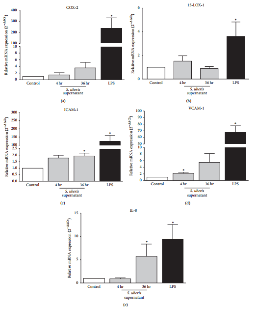 Apoptosis of Endothelial Cells by 13-HPODE Contributes to Impairment of Endothelial Barrier Integrity - Image 4