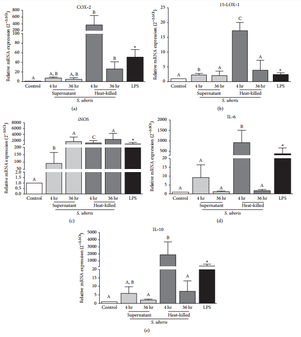 Apoptosis of Endothelial Cells by 13-HPODE Contributes to Impairment of Endothelial Barrier Integrity - Image 6