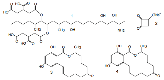 An Overview of Conventional and Emerging Analytical Methods for the Determination of Mycotoxins - Image 5