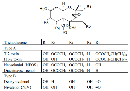 An Overview of Conventional and Emerging Analytical Methods for the Determination of Mycotoxins - Image 2