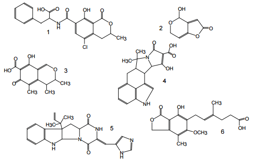 An Overview of Conventional and Emerging Analytical Methods for the Determination of Mycotoxins - Image 6