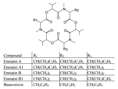 An Overview of Conventional and Emerging Analytical Methods for the Determination of Mycotoxins - Image 3