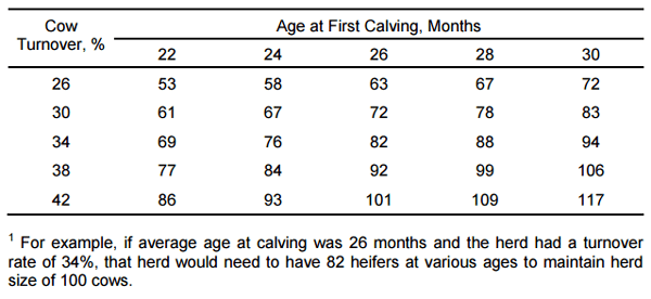 Feeding Cows in Today’s Economy - Image 1