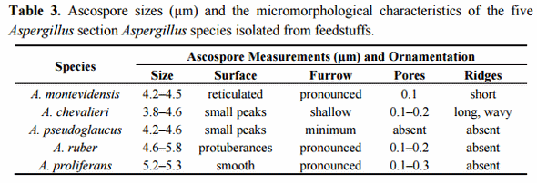 Taxonomic Characterization and Secondary Metabolite Profiling of Aspergillus Section Aspergillus Contaminating Feeds and Feedstuffs - Image 4