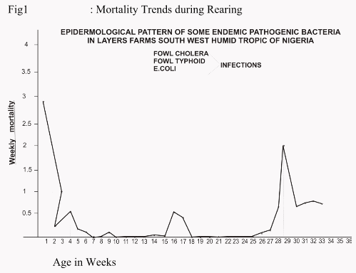 Poultry Industry in Nigeria and Climate Change Implications - Image 2
