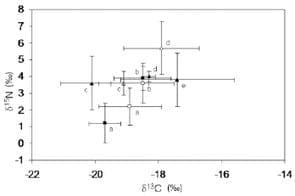 Consistent habitat segregation between sexes in the spider crabs Maja brachydactyla and Maja squinado (Brachyura), as revealed by stable isotopes - Image 4