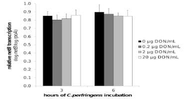 The Mycotoxin Deoxynivalenol Predisposes for the Development of Clostridium perfringens-Induced Necrotic Enteritis in Broiler Chickens - Image 6