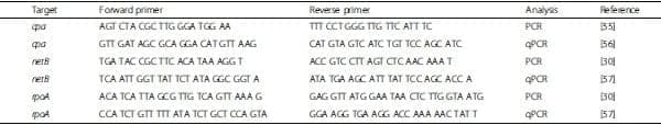 Fumonisins affect the intestinal microbial homeostasis in broiler chickens, predisposing to necrotic enteritis - Image 4
