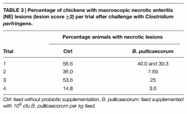 The Probiotic Butyricicoccus pullicaecorum Reduces Feed Conversion and Protects from Potentially Harmful Intestinal Microorganisms and Necrotic Enteritis in Broilers - Image 6