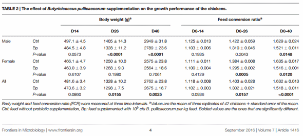 The Probiotic Butyricicoccus pullicaecorum Reduces Feed Conversion and Protects from Potentially Harmful Intestinal Microorganisms and Necrotic Enteritis in Broilers - Image 2