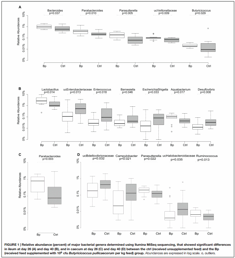 The Probiotic Butyricicoccus pullicaecorum Reduces Feed Conversion and Protects from Potentially Harmful Intestinal Microorganisms and Necrotic Enteritis in Broilers - Image 3