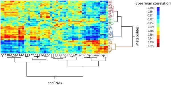 The Swine Plasma Metabolome Chronicles 