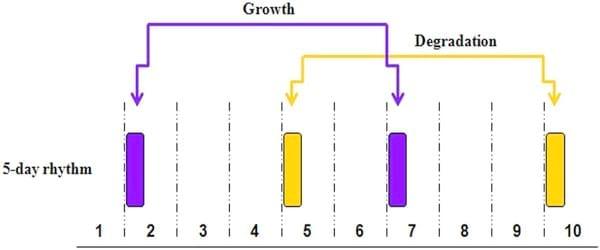 The Swine Plasma Metabolome Chronicles 