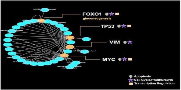 The Swine Plasma Metabolome Chronicles 