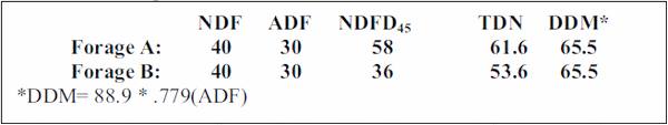 Using Digestible NDF to Determine Forage Quality - Image 4