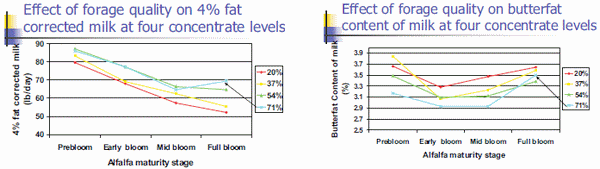 Using Digestible NDF to Determine Forage Quality - Image 13