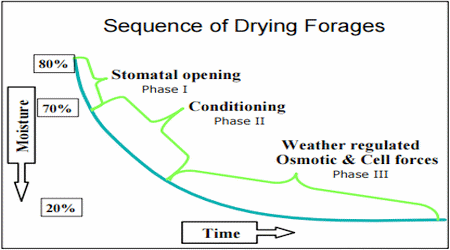 Harvesting Impacts on Forage Quality - Image 2