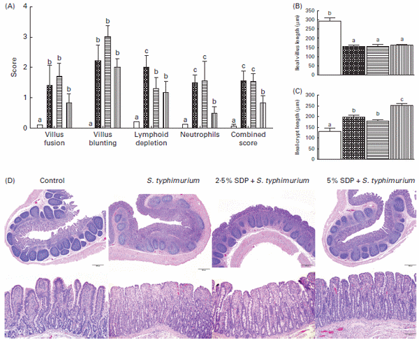 Early-life dietary spray-dried plasma influences immunological and intestinal injury responses to later-life Salmonella typhimurium challenge - Image 3