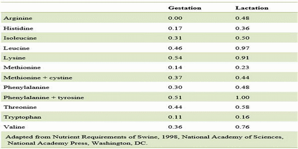 The significance of Amino Acids in the animal diet with special emphasis on pig health - Image 6