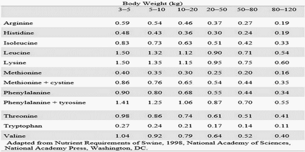 The significance of Amino Acids in the animal diet with special emphasis on pig health - Image 5