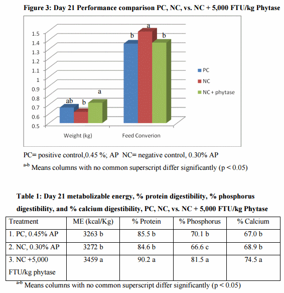 Influence of Dietary Enzymes on Gut Health - Image 2