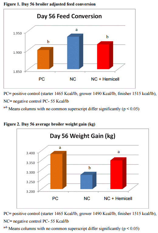 Influence of Dietary Enzymes on Gut Health - Image 1