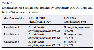 Isolation, screening and identification of Bacillus spp. as direct-fed microbial candidates for aflatoxin B1 biodegradation - Image 2