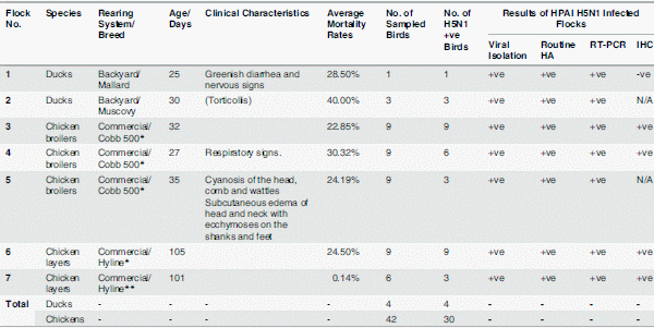 Pathogenicity of Highly Pathogenic Avian Influenza Virus H5N1 in Naturally Infected Poultry in Egypt - Image 3