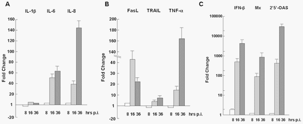 Distinct Regulation of Host Responses by ERK and JNK MAP Kinases in Swine Macrophages Infected with Pandemic (H1N1) 2009 Influenza Virus - Image 3
