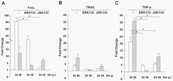 Distinct Regulation of Host Responses by ERK and JNK MAP Kinases in Swine Macrophages Infected with Pandemic (H1N1) 2009 Influenza Virus - Image 8