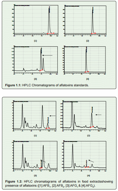 A Study to Evaluate Aflatoxin Contamination in Food from Gauteng Province - Image 2