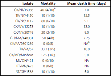 The pathogenesis of low pathogenicity H7 avian influenza viruses in chickens, ducks and turkeys - Image 3
