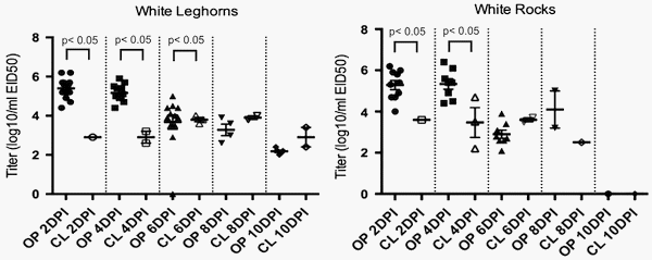 Impact of route of exposure and challenge dose on the pathogenesis of H7N9 low pathogenicity avian influenza virus in chickens - Image 7