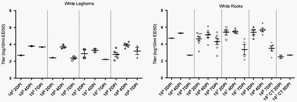Impact of route of exposure and challenge dose on the pathogenesis of H7N9 low pathogenicity avian influenza virus in chickens - Image 4