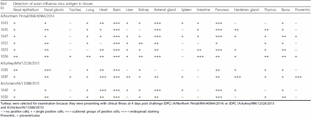 H5N2 Highly Pathogenic Avian Influenza Viruses from the US 2014-2015 outbreak have an unusually long pre-clinical period in turkeys - Image 4