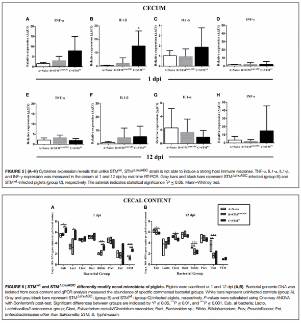 Salmonella enterica Serovar Typhimurium Exploits Inflammation to Modify Swine Intestinal Microbiota - Image 4