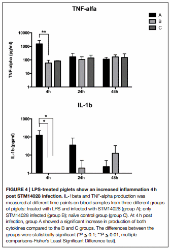Salmonella Typhimurium exploits inflammation to its own advantage in piglets - Image 4