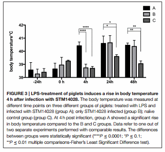 Salmonella Typhimurium exploits inflammation to its own advantage in piglets - Image 3