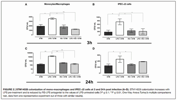 Salmonella Typhimurium exploits inflammation to its own advantage in piglets - Image 2