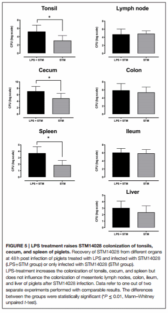 Salmonella Typhimurium exploits inflammation to its own advantage in piglets - Image 5