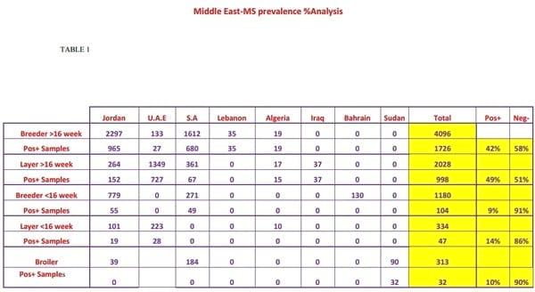Survey of Mycoplasma synoviae prevalence and economic impact in the Middle East and North Africa area - Image 1
