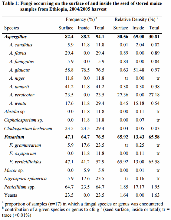 Mycotoxins and Surface and Internal Fungi of Maize from Ethiopia - Image 2