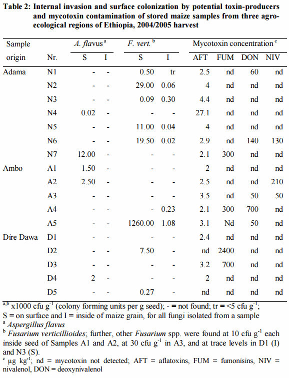 Mycotoxins and Surface and Internal Fungi of Maize from Ethiopia - Image 3