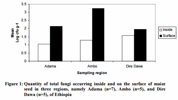 Mycotoxins and Surface and Internal Fungi of Maize from Ethiopia - Image 1